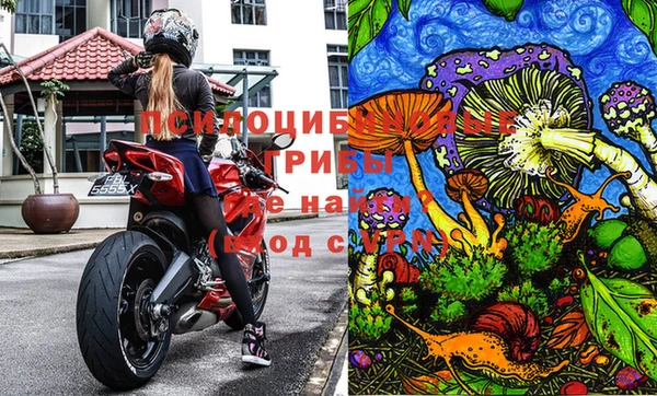 твердый Дмитриев