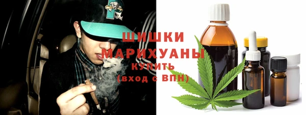 хмурый Дмитровск