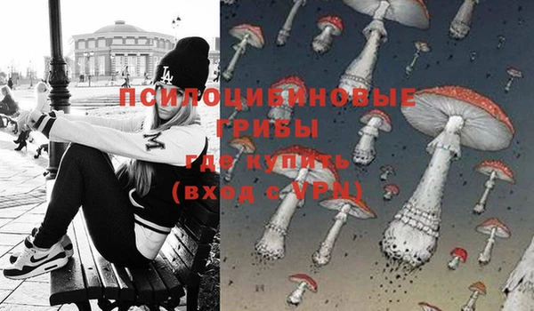 твердый Дмитриев