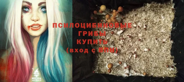 твердый Дмитриев