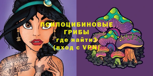 хмурый Дмитровск