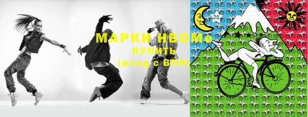 хмурый Дмитровск