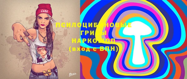 твердый Дмитриев