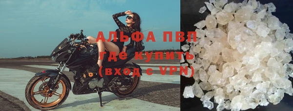 твердый Дмитриев