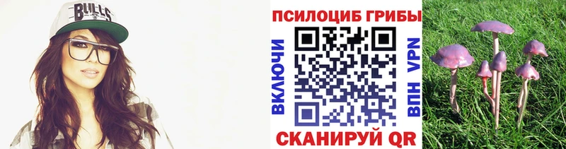 Галлюциногенные грибы мицелий  Емва 